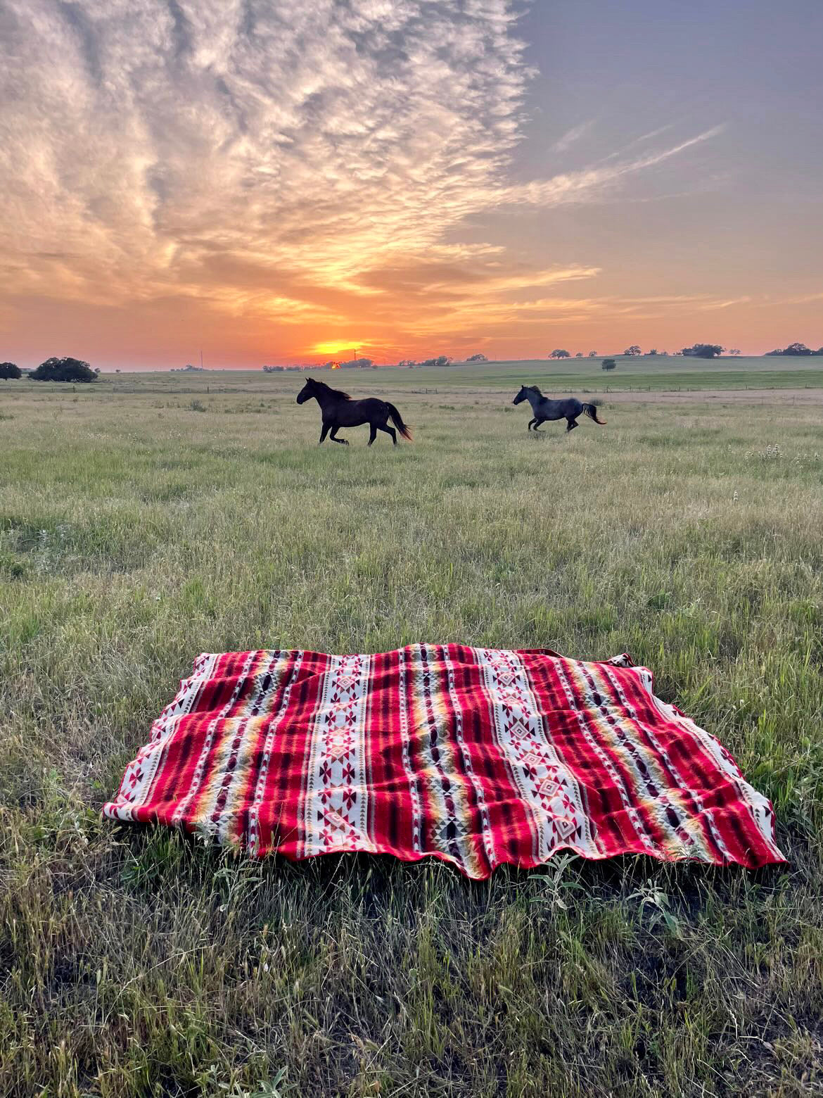 93" X 82" Red Woven Mod Acrylic Throw Blanket